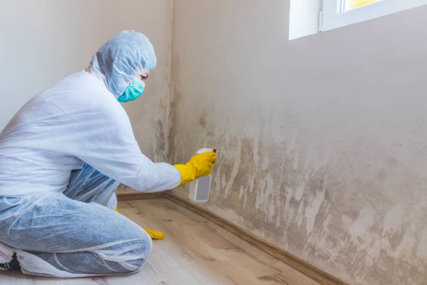 Mold Remediation specialist working in Centre Hall