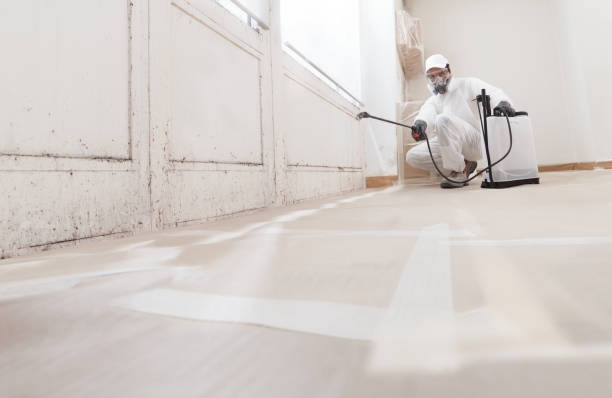 Black mold remediation team in Centre Hall